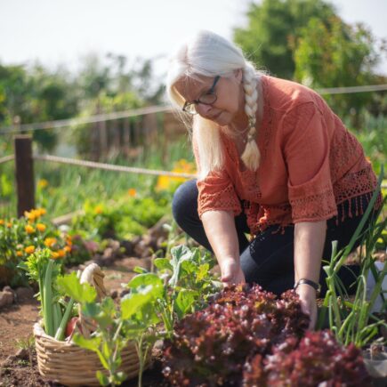 an elderly man in a vegetable garden