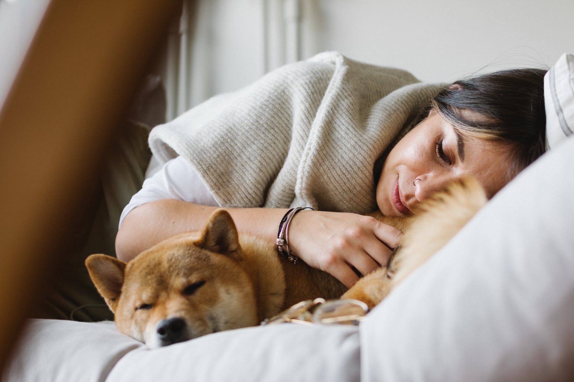 young woman with purebred dog sleeping together on soft couch